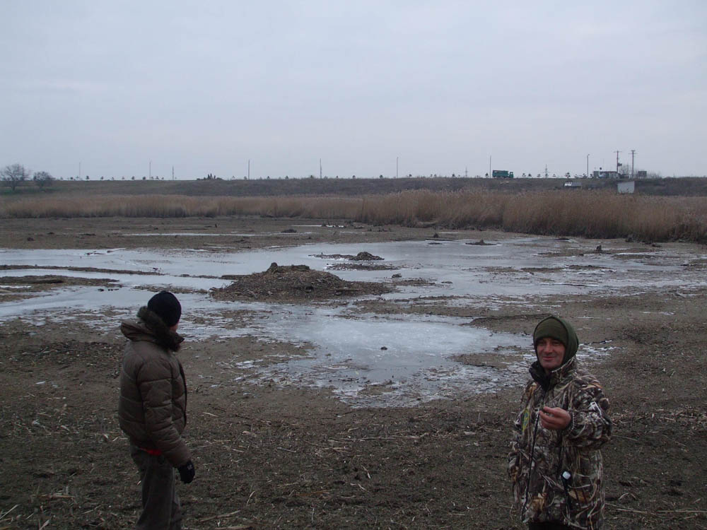 TANCABESTI SECAT - DSCF3447.jpg